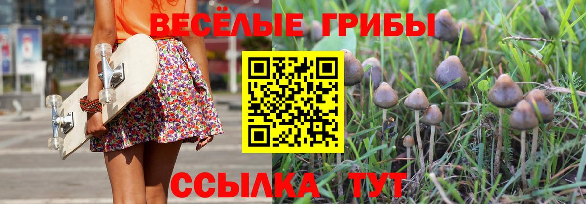 Псилоцибиновые грибы GOLDEN TEACHER Гусиноозёрск