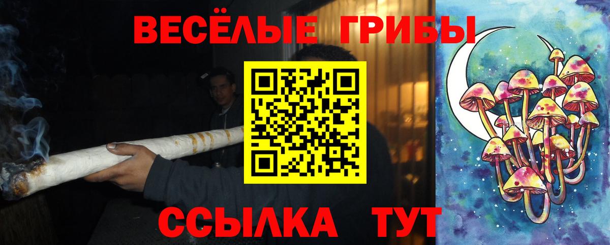 Гусиноозёрск  Псилоцибиновые грибы ЛСД  Вход с VPN 